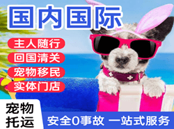 齐齐哈尔三家子机场邮寄国际宠物托运 【国